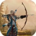 弓箭手刺客射击(Archer Assassin shooting game)